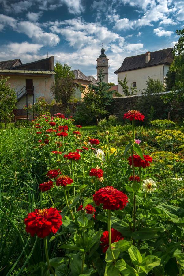 Penzion Borievka Hotel Poprad Buitenkant foto